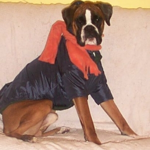 Igor's coat