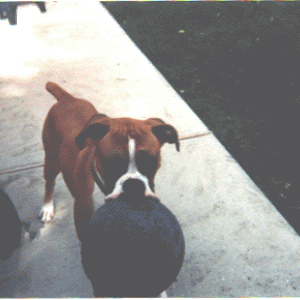 odin3
