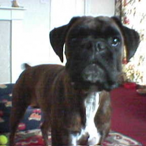 wot u looking at