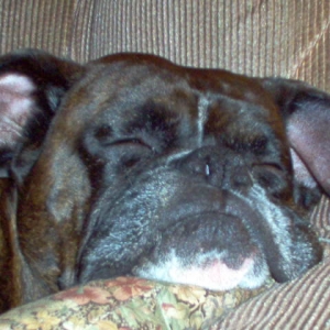 sleeping_beauty