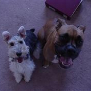 Best Buddies