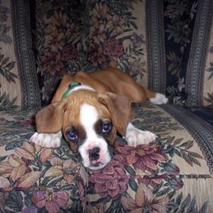 Can't a boy get any rest around here?