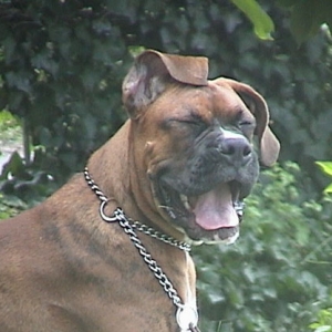 Whatta face!