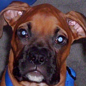 I am so cute!