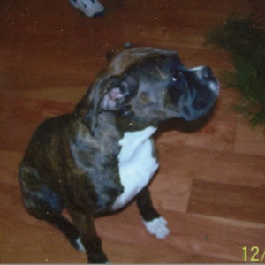 Sabrinas first christmas