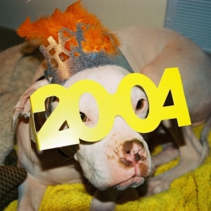 Happy New Year