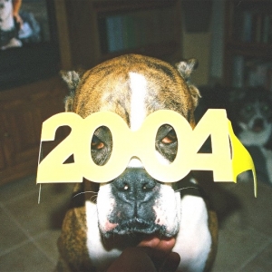 Boxer New Year