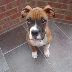 When are we going for that walk?