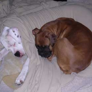 Trying to keep warm
