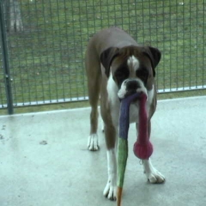 Will you come out and play wit me?