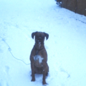 First Snow Storm!