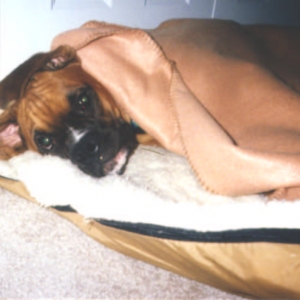 Snuggle Bug!