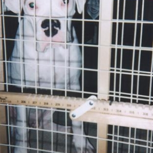 Scan006_January_13_2004
