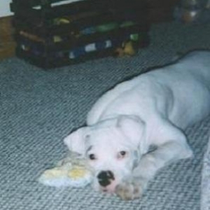 Friday_January_16_2004_4_
