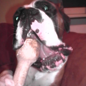 MMMM Bone