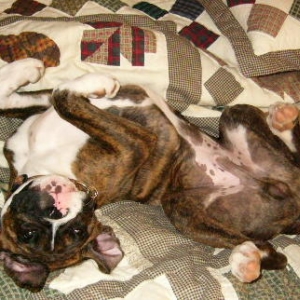Otis chillin'