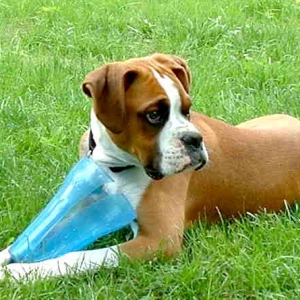 Duditz at 5 months old