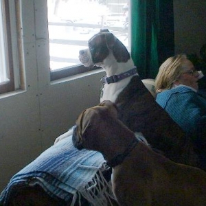 Outside??