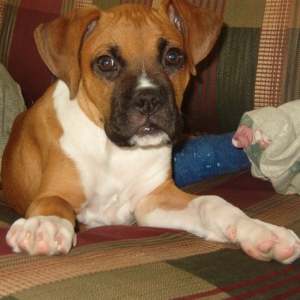 My sweet Sam