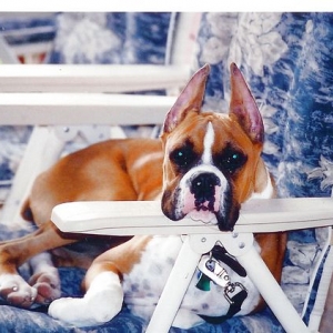I OWN THIS CHAIR