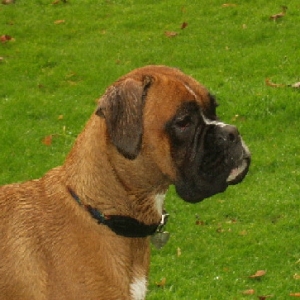 At the park