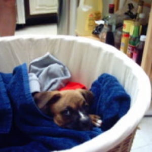 Very Comfy!