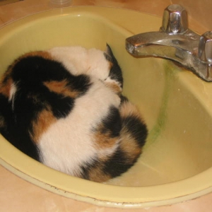nice place to sleep