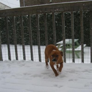 i love snow
