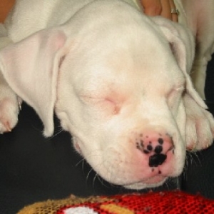 Sleepy