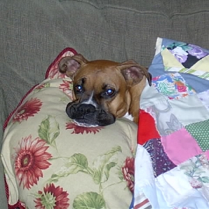 Resting