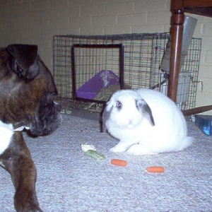 Casey_checking_out_Jay_s_salad