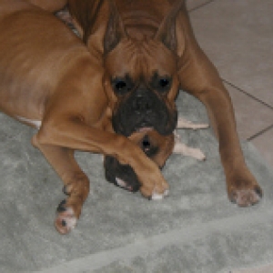squooshed