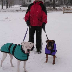 Finn, Nessa and their Dad in the snow