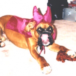 Halloween 2003