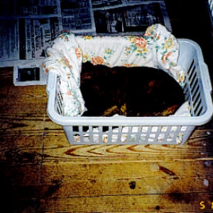 My first bed