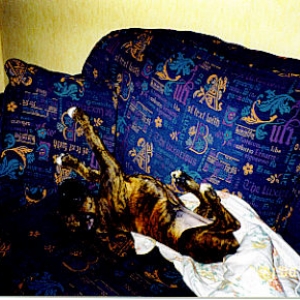 Im comfortable