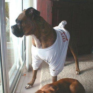 after surgury t-shirt