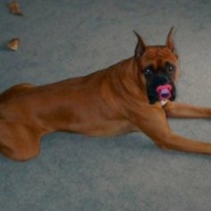Big Baby!