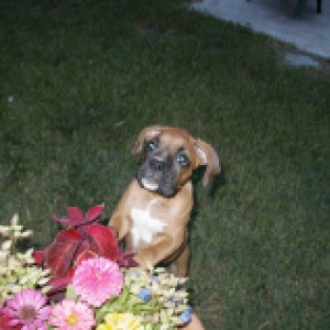 Laila @ 3 mths