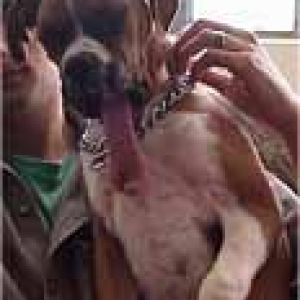 1st Prize - Biggest Tongue Contest