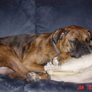 zoe_sleeping