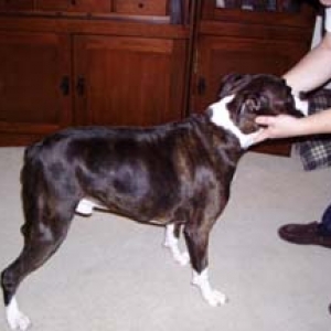 Reggie's profile