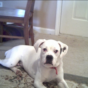 Max