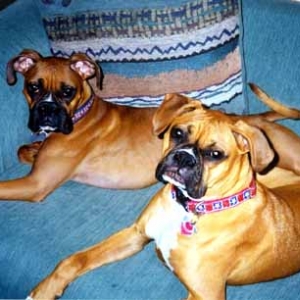 Missy and Bella