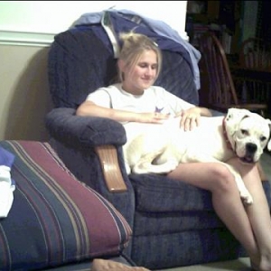 Lapdog
