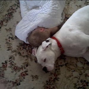 Best Buds