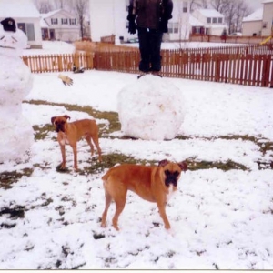 Fun in the snow!