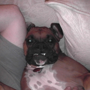 GRRRRRRRRRRRRR!!!!!!!!!!!!!!!!