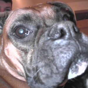 You...Talkin to me