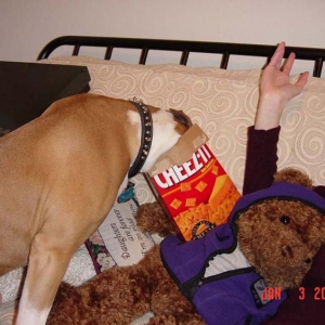 cheez-it